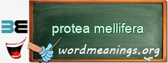 WordMeaning blackboard for protea mellifera